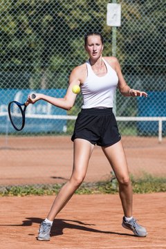 Bild 495 - dreyermedia open